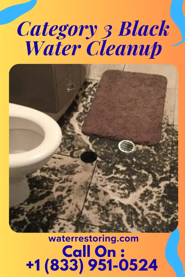 Category 3 Black Water Cleanup in Tripoli, IA
