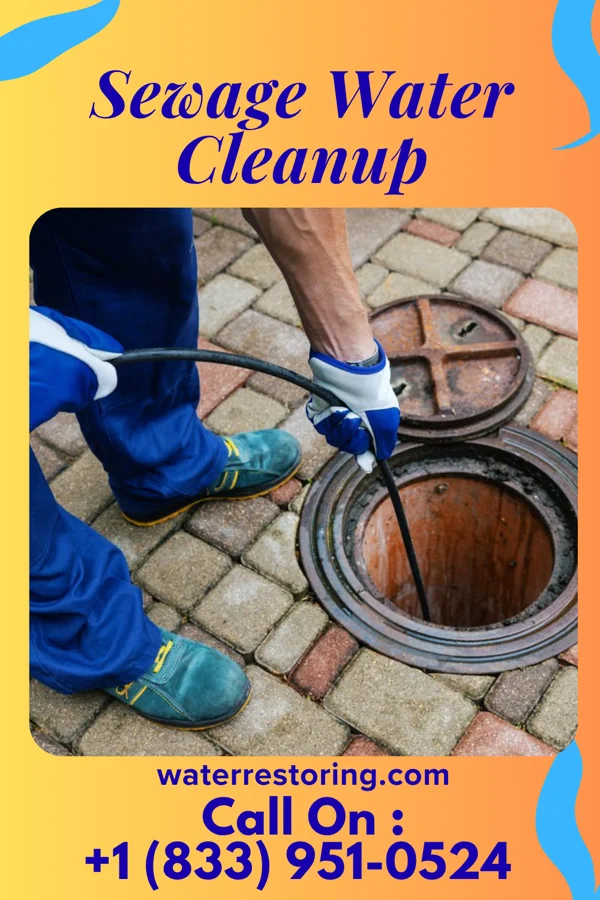 Sewage Water Cleanup in Tripoli, IA